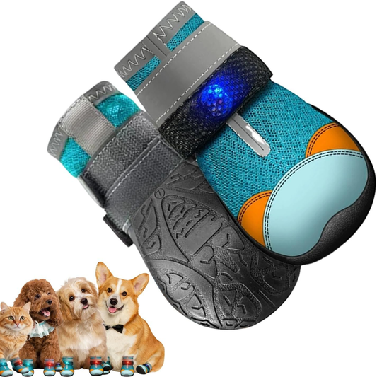 Zapatos con Luz Integrada para Perro
