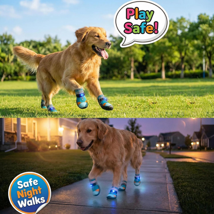 Zapatos con Luz Integrada para Perro